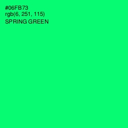 #06FB73 - Spring Green Color Image